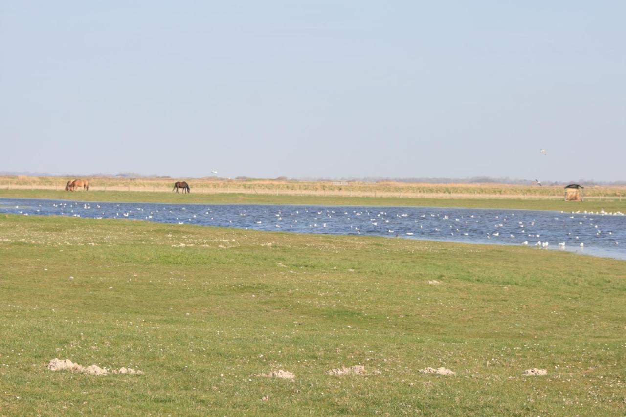 A Cote De La Mer أولت المظهر الخارجي الصورة