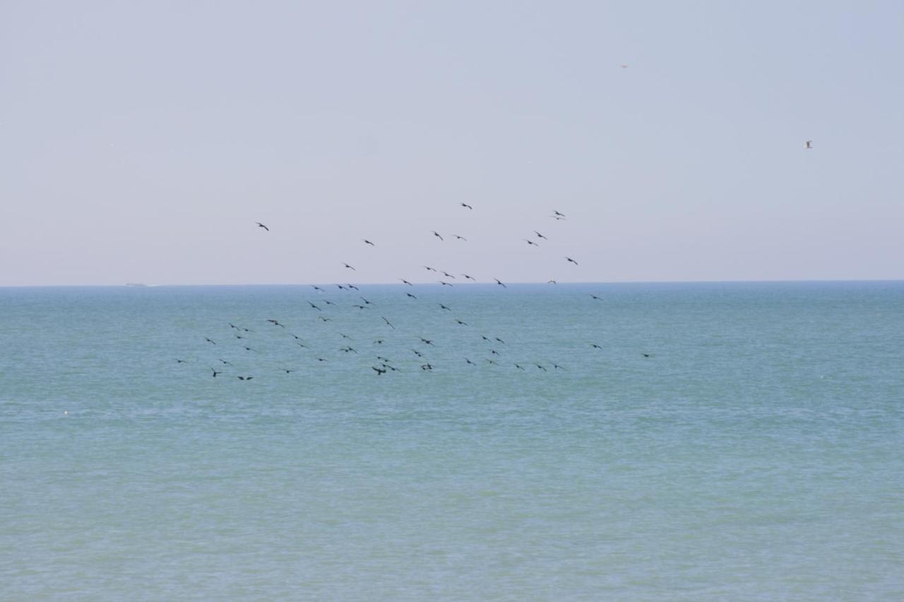 A Cote De La Mer أولت المظهر الخارجي الصورة